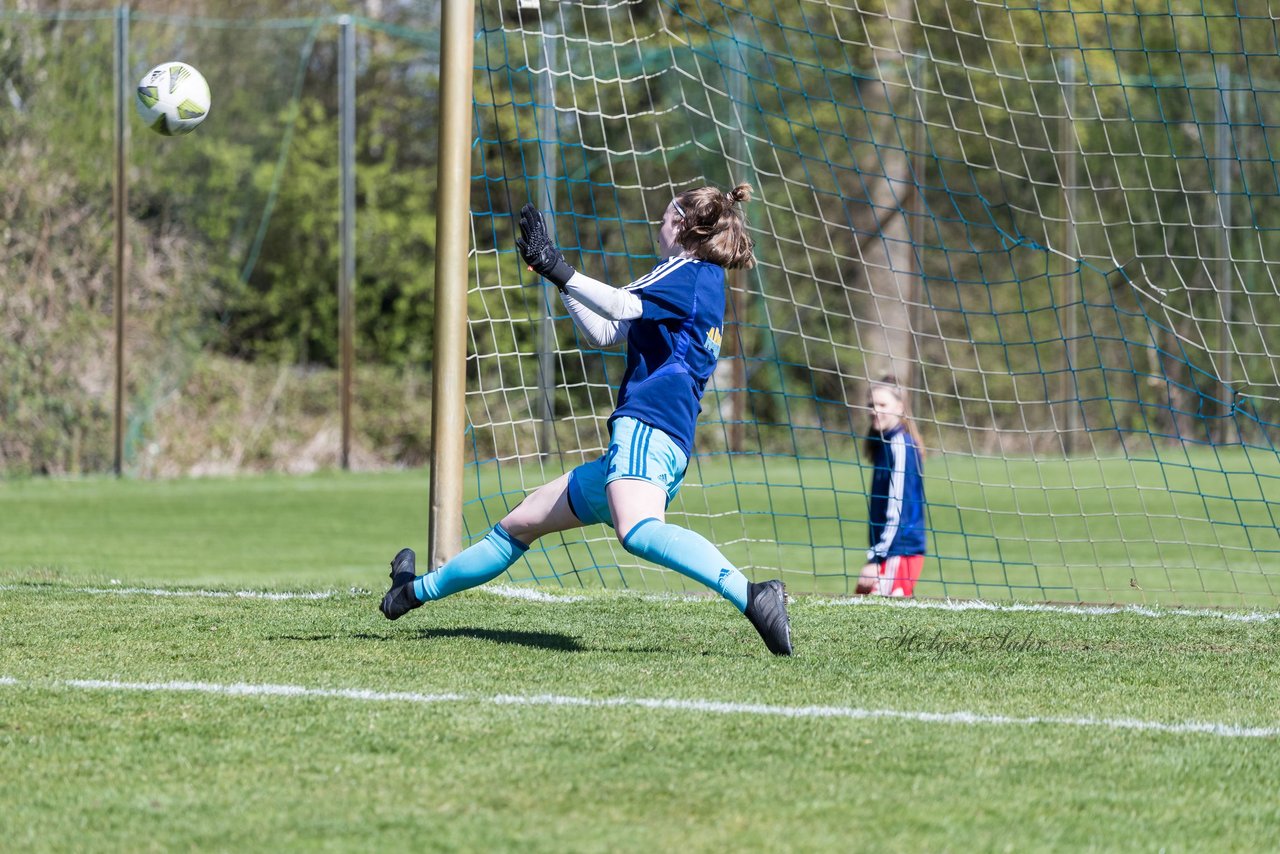 Bild 207 - wBJ Hamburger SV - WfL Wolfsburg : Ergebnis: 2:1